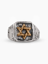 Ring - Samson Maguen David Gold Kameart