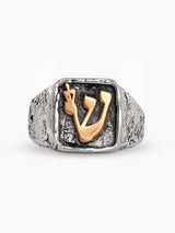 Ring - Nimrod Shin Gold Kameart